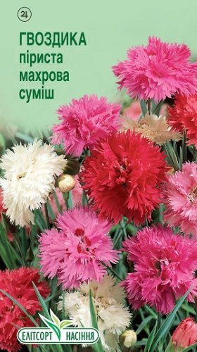 Гвоздика Піриста махрова суміш 0,1г