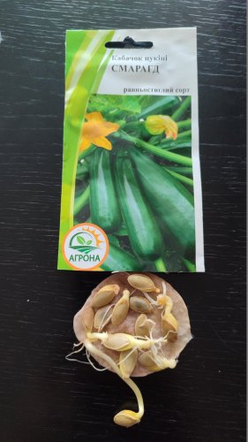 Кабачок-цукіні Смарагд 2г. 70% схожість 2025р Агрона