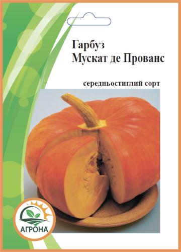 ПРОФ Гарбуз Мускат де Прованс 10г 2025р Агрона