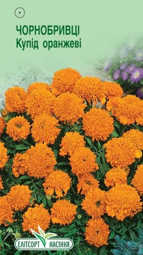 Чорнобривці Купід оранжеві 0,1г