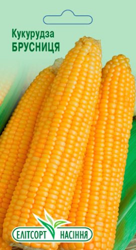 Кукурудза Брусниця 10г