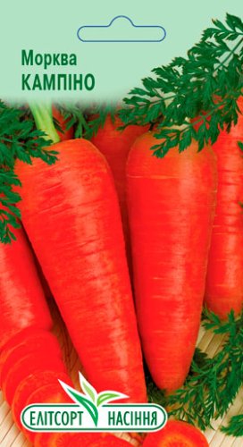 Морква Кампіно 2г