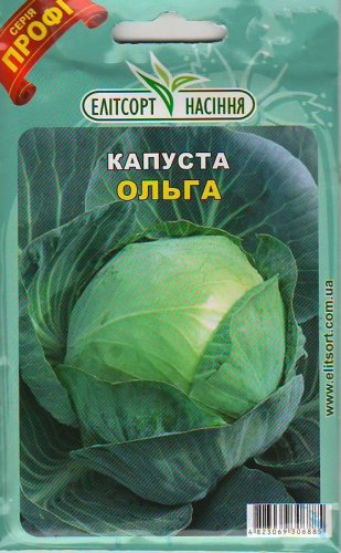 ПРОФ Капуста Ольга 20г 2025р