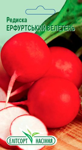Редиска Ерфуртський велетень 3г