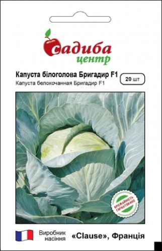 Капуста Бригадир F1 20 нас. СЦ