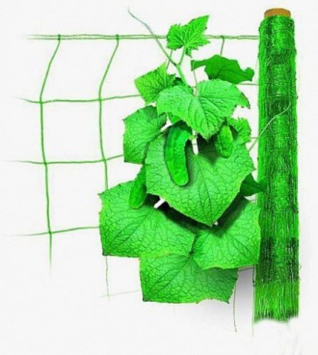 Сітка для огірків 1,7/5м