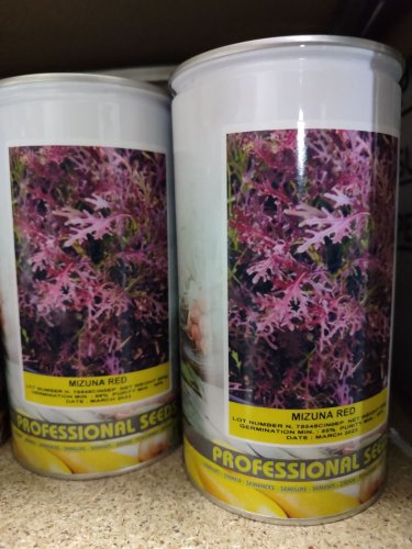 Салат Мізуна червоний 0,5кг Hortus (Італія)