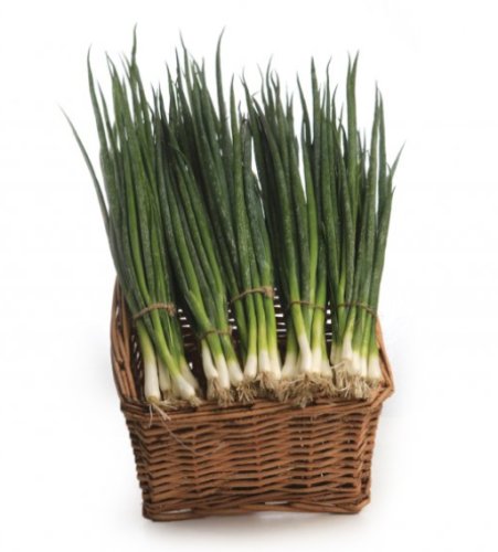 Цибуля Батун П'єро Україна