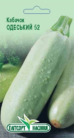 Кабачок Одеський 52 20шт