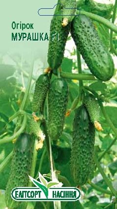 Огірок Мурашка F1 10шт