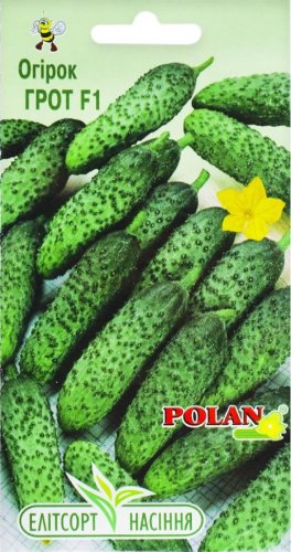 Огірок Грот F1 20шт 12.2025р