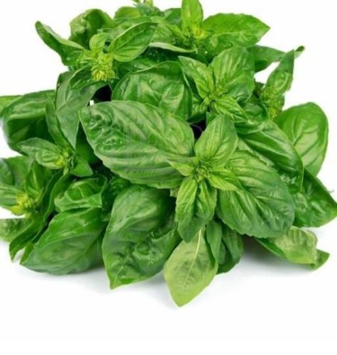 Базилік Геновезе 0,5кг Sais (Італія)