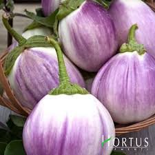 Баклажан Бьянка Сфумата ді Роса банка 0,5кг (Hortus)