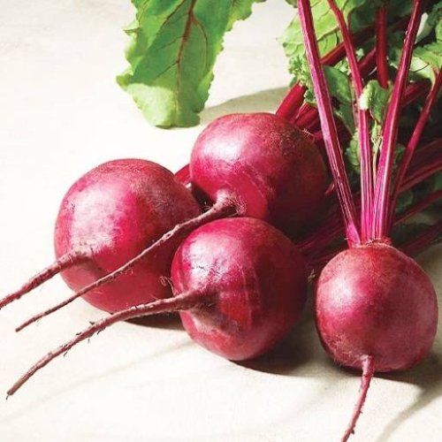 Буряк Кадет 0,1кг Коуел