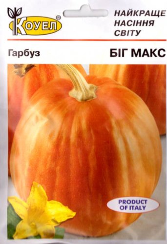 ПРОФ Гарбуз Біг Макс 50г Коуел