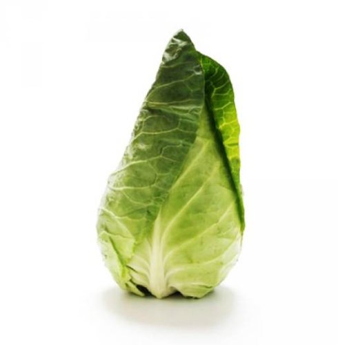 Капуста білоголова Експрес 0,1кг Коуел
