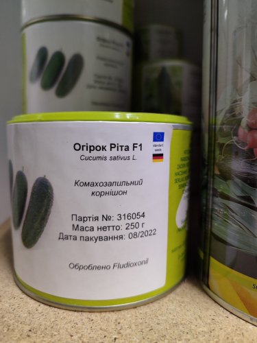 Огірок Ріта F1 0,25кг Satimex