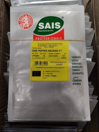 Перець Асканіо F1 100 нас Sais (Італія)