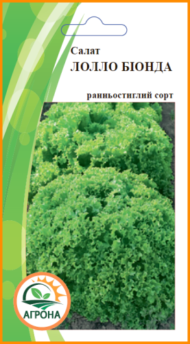 Салат Лолло Біонда 0,5г 2025р Агрона