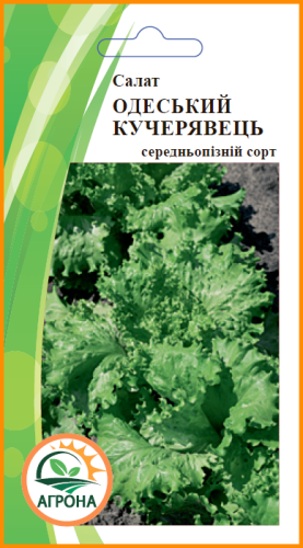 Салат Одеський Кучерявець 1г 2025р Агрона