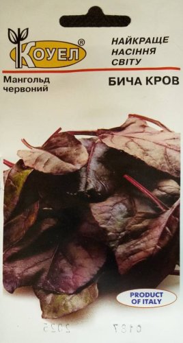 Мангольд Бича кров 2г Коуел 08.2029р