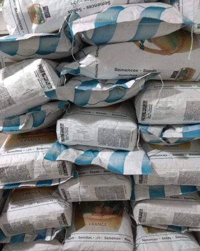 Буряк кормовий Еккендорфський жовтий 10кг GSN