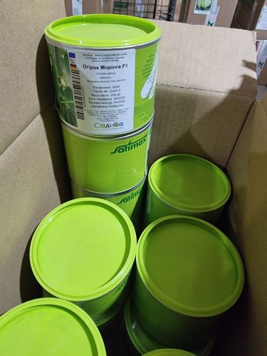 Огірок Морінга F1 банка 0,25кг Satimex 