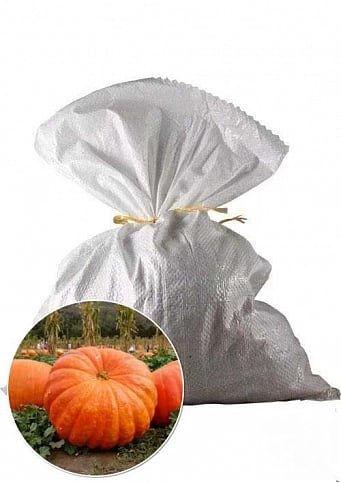 Гарбуз Атлантичний гігант Україна