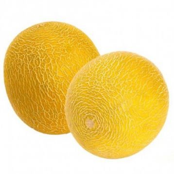 Диня Рання 133 Україна