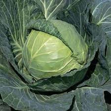 Капуста білоголова Орбіта F1 Молдова