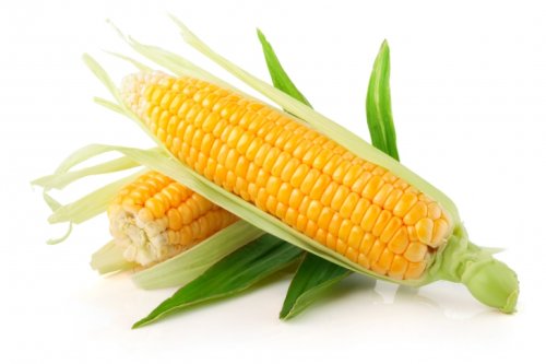 Кукурудза цукрова Багратіон F1 (жовта) Україна