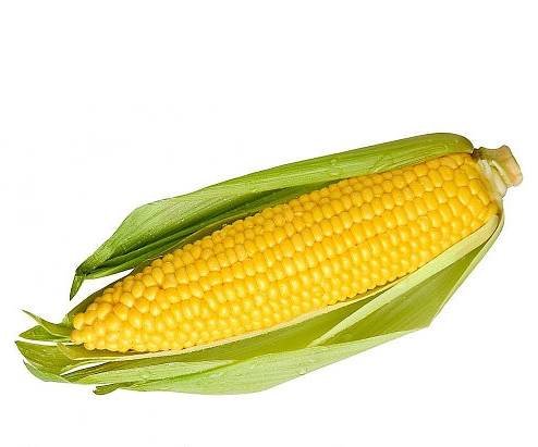 Кукурудза цукрова Бостон F1 (жовта) Україна