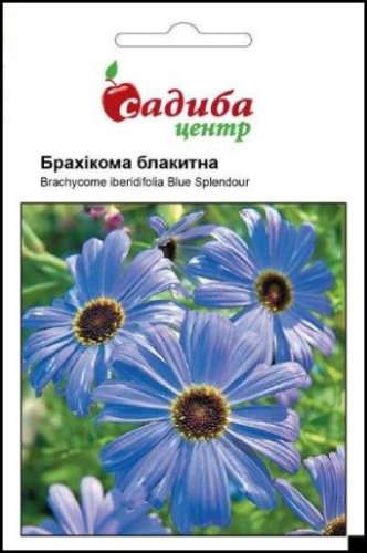 Брахікома блакитна 0,1г 02.2024р СЦ схожість 43%