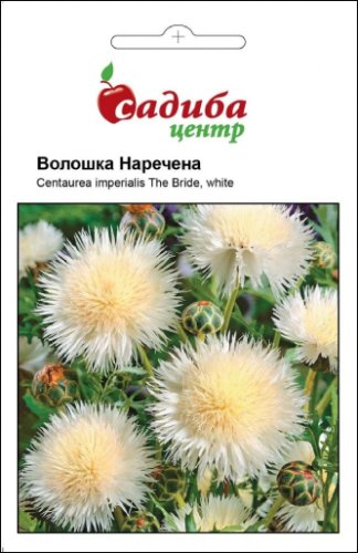 Волошка Наречена біла 0,3г СЦ 03.2026р