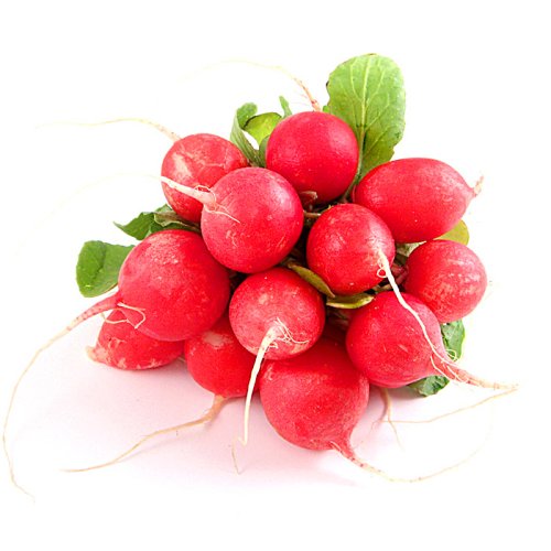 Редиска Чемпіон Україна