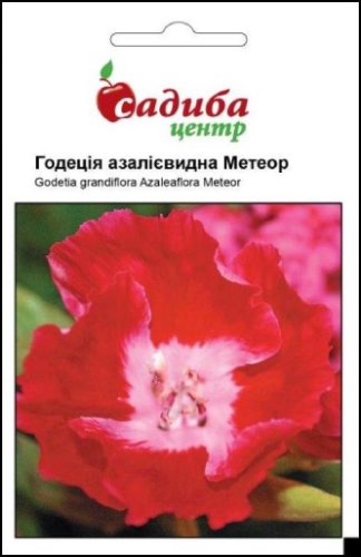 Годеція азалієвидна Метеор 0,2г СЦ 12.2025р