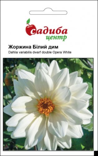 Жоржина Білий дим 0,1г 02.2024р СЦ