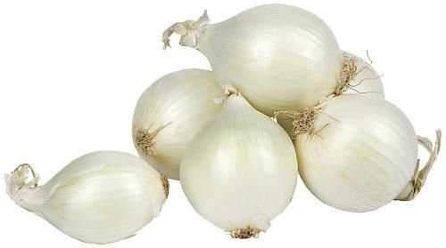 Цибуля Агостана (білий) Польща