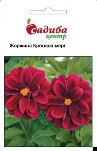 Жоржина Кровава Мері 0,1г СЦ 02.2026р