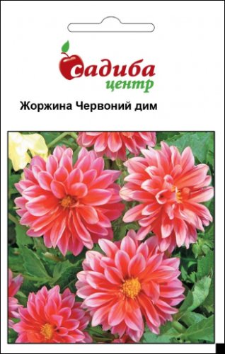 Жоржина Червоний Дим 0,1г СЦ 02.2026р