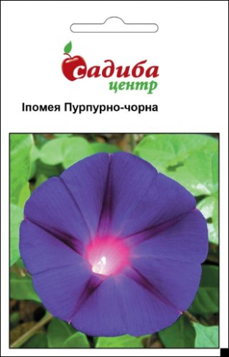 Іпомея Пурпурно-чорна 0,5г СЦ 03.2026р
