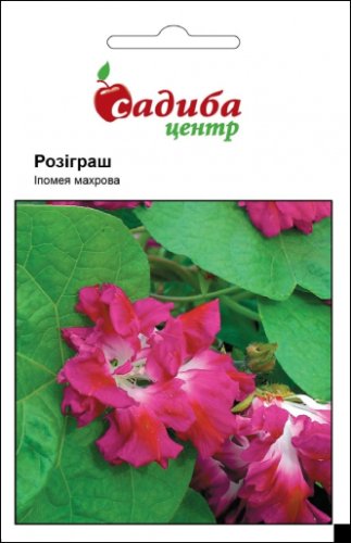 Іпомея Розіграш 0,2г СЦ