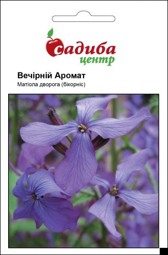 Маттіола Вечірній Аромат 0,2г СЦ схожість 40% 12.2025р