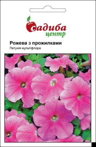 Петунія Рожева з прожилками F2 0,02г СЦ