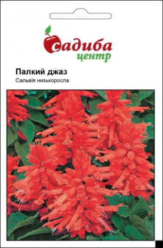 Сальвія Палкий джаз 0,1г СЦ 03.2026р