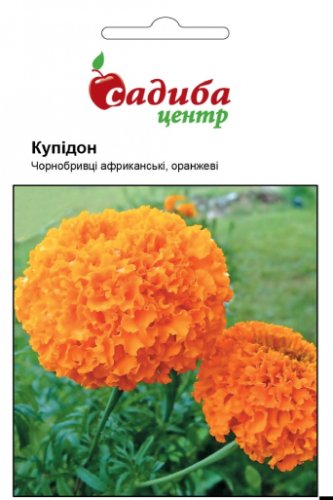Чорнобривці Купідон оранжеві 0,2 г. СЦ 03.2026р
