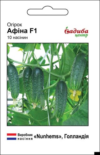 Огірок Афіна F1 10 нас СЦ