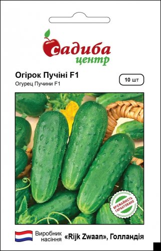 Огірок Пучіні F1 10 нас СЦ
