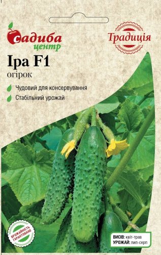 Огірок Іра F1 20 шт СЦ Традиція