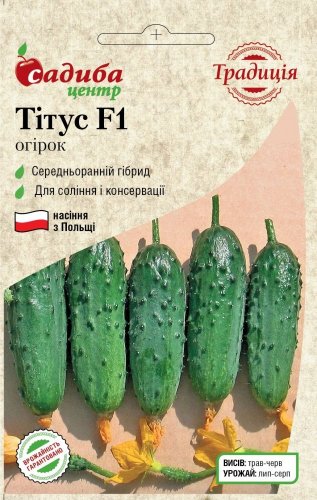 Огірок Тітус F1 0.5г 2025р СЦ Традиція